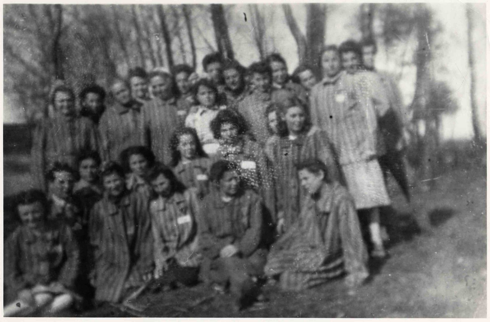 Auschwitz Female Prisoners Dating